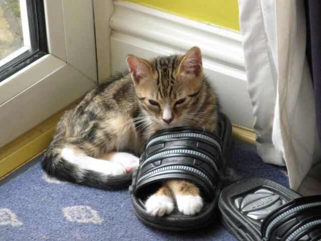 保罗让比赛提前失去悬念?活塞逆转快船诠释篮球的不可预测性