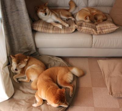 雷霆力克热火，布伦森在季后赛抢七接管比赛